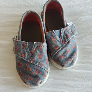 Toddler baby girl TOMS shoes size US 5